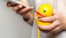 小黄鸭最新爆料,揭秘娱乐圈幕后真相